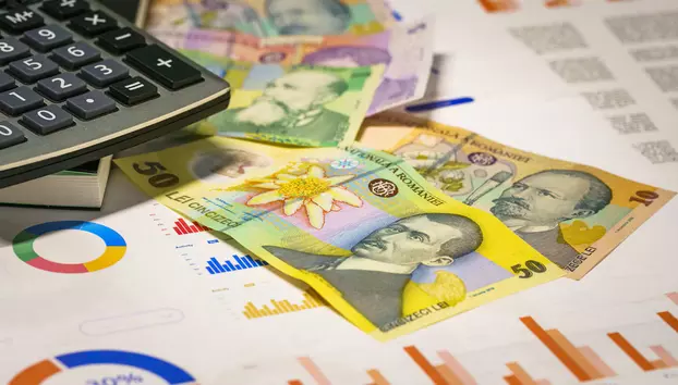Deprecierea leului împarte firmele în câștigători și perdanți. Ce ar însemna un euro de 5,50 lei