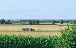 Costurile fermierilor au crescut cu 300% din 2007. Agricultura cere statut strategic pentru România până în 2034
