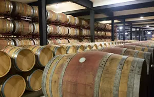Producția de vin a Franței scade la minimul ultimilor aproape 70 de ani. Canicula și seceta lovesc podgoriile