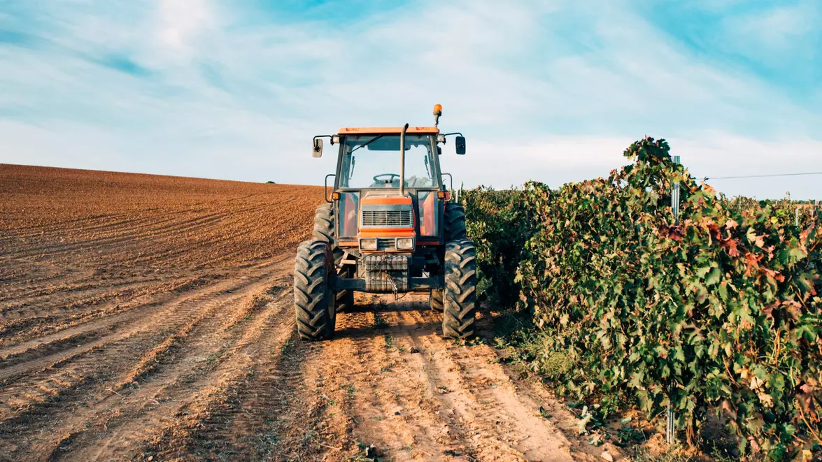 Vești bune pentru fermieri. Guvernul suplimentează cu 94,3 milioane de lei bugetul schemei de sprijin pentru motorina utilizată în agricultură