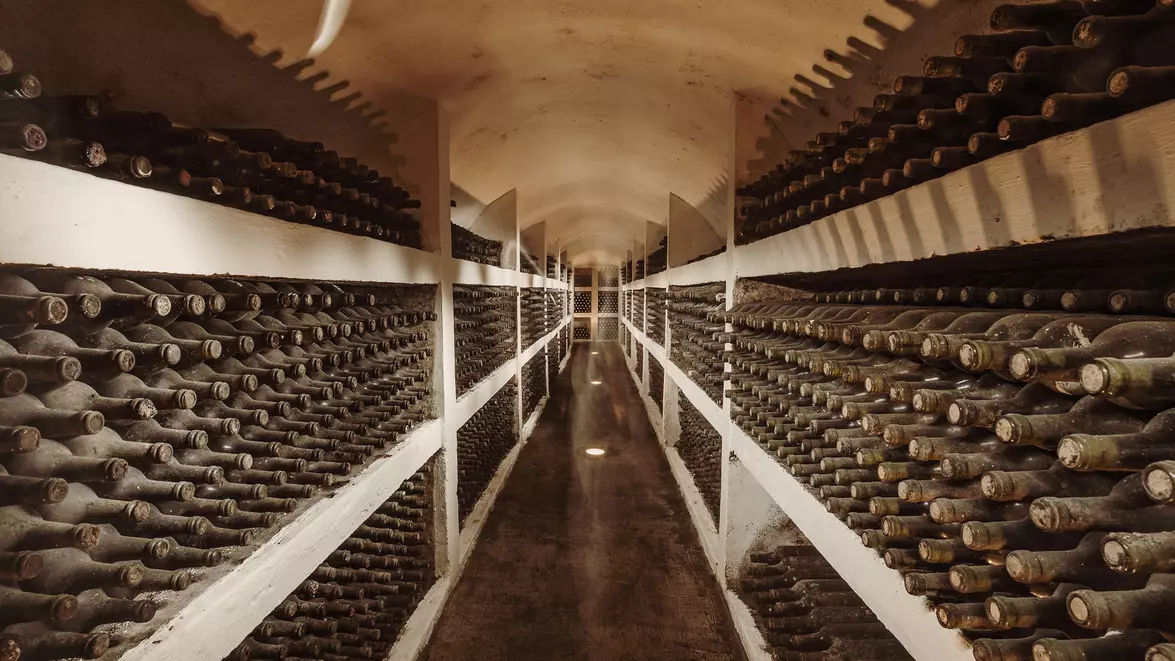 Purcari Wineries și-a îmbunătățit profitabilitatea, în pofida scăderii veniturilor. Marja EBITDA a ajuns la 28,5% 