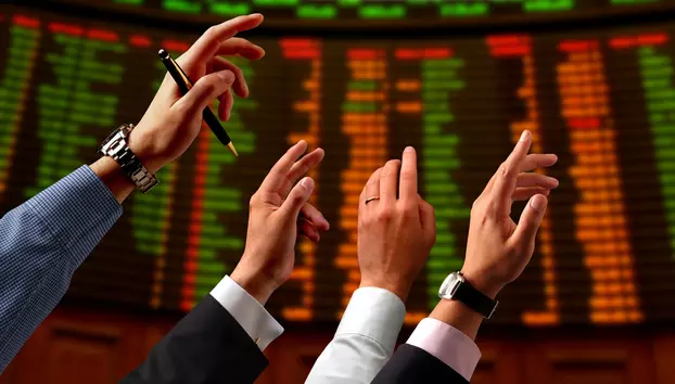 Ce este bull market și bear market. Termenii descriu marile perioade de creștere și scădere ale bursei