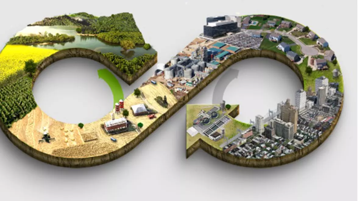 Economia circulară se finanțează în proporție de 84% din banii companiilor. Tranziția verde riscă să devină privilegiul firmelor cu lichiditate