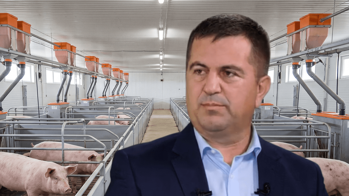 Ionel Arion: „Industria porcului este aproape de colaps în prezent.” Sprijinul pentru crescători vine prea târziu și este insuficient