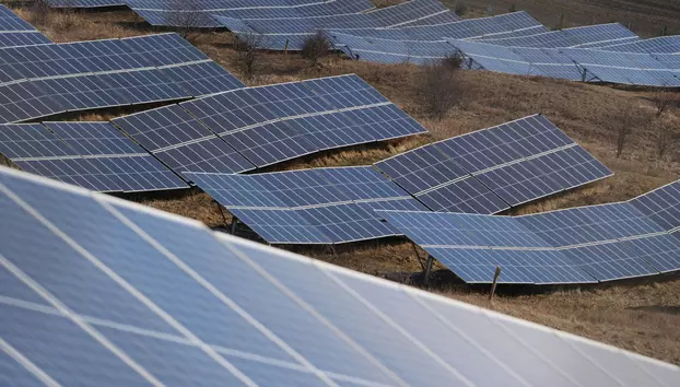 Transelectrica atrage 51,7 milioane de euro din PNRR. Fondurile merg în trei proiecte majore