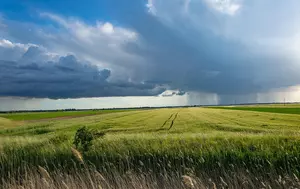 Agricultura românească câștigă teren. Suprafața cultivată a crescut cu 40.000 de hectare