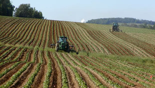 Agricultura românească a pierdut 70% din profit. Fermierii au fost afectați de secetă, cereale ieftine și costuri mari 