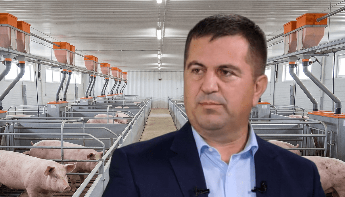 Ionel Arion: „Industria porcului este aproape de colaps în prezent.” Sprijinul pentru crescători vine prea târziu și este insuficient