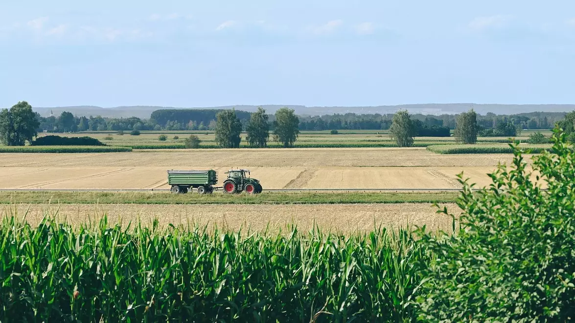 Costurile fermierilor au crescut cu 300% din 2007. Agricultura cere statut strategic pentru România până în 2034