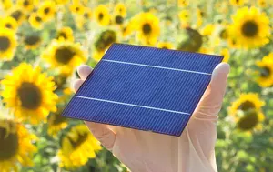 Cooperativele agricole vor să-și producă singure energia. 77 de structuri se pregătesc să devină „comunități energetice”