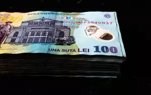Cât încasează Guvernul din dividendele de la companiile de stat. Trei societăți achită 57% din nota de plată