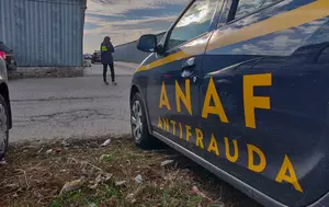 Rețea de evaziune fiscală din domeniul livrărilor la domiciliu, destructurată de ANAF. Prejudiciul depășește 23 de milioane de lei
