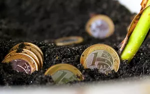 Ce soluții are agricultura românească pentru a ieși din criza de lichiditate. Facturarea la preț net și creditele adaptate ciclului agricol devin prioritare