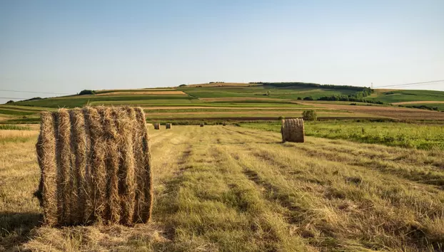Insolvențele agricole cresc cu aproape 80%. Criza ajunge la fermele mari și lovește întregul lanț