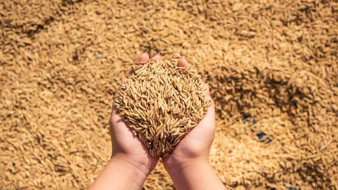 Alimentele sănătoase ar putea să rămână mai scumpe din cauza subvențiilor. FAO propune schimbarea sistemului