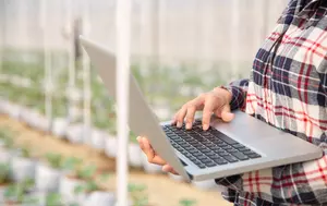Guvernul aprobă rețeaua de date agricole finanțată cu 3,5 milioane de euro. Sistemul va deveni operațional în anul următor