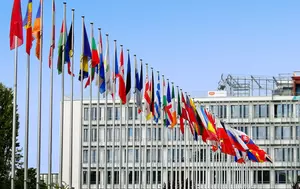 Subvențiile devin tot mai importante în Uniunea Europeană. Marea provocare este păstrarea echilibrului dintre statele membre