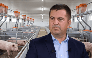 Ionel Arion: „Industria porcului este aproape de colaps în prezent.” Sprijinul pentru crescători vine prea târziu și este insuficient