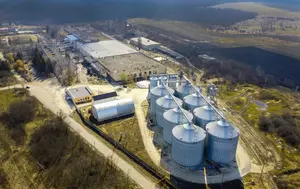 OMV construiește una dintre cele mai mari fabrici de hidrogen verde din Europa. Investiția totală se ridică la 600 de milioane de euro