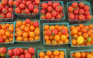 Sezamo caută fermieri la 80 km de București de la care să ia marfă proaspătă. Supermarketul online vrea livrarea produselor în 6 ore