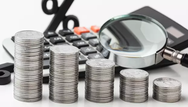 Estimările economiștilor devin mai puțin optimiste. Leul ar putea continua să se deprecieze în următoarele 12 luni