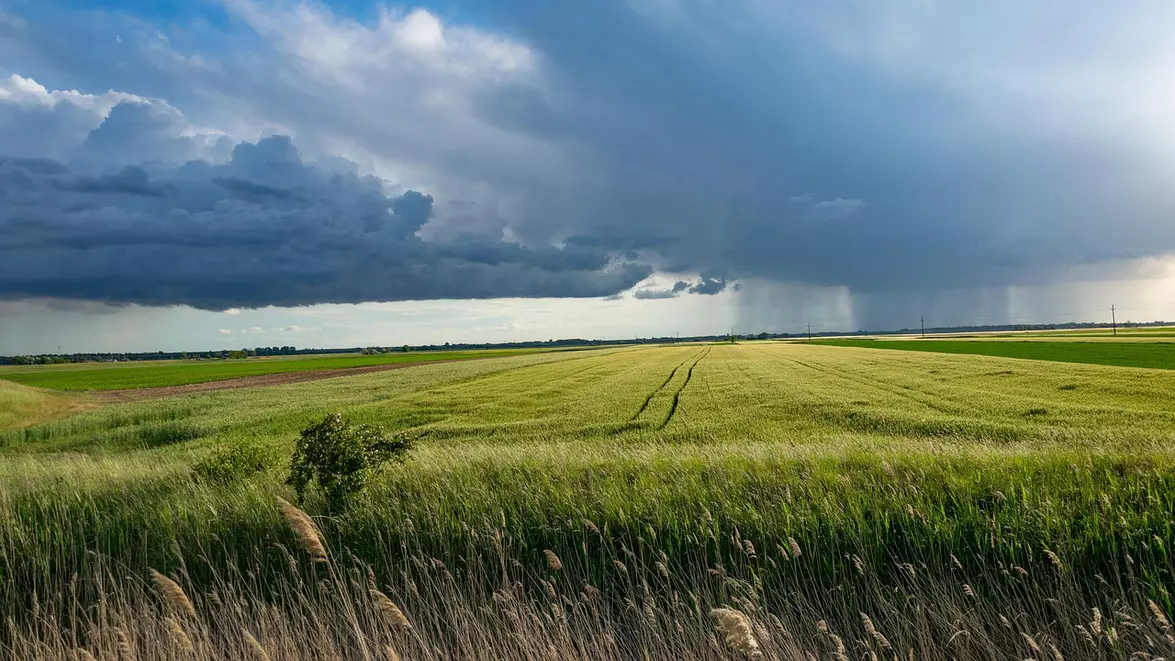 Agricultura românească câștigă teren. Suprafața cultivată a crescut cu 40.000 de hectare