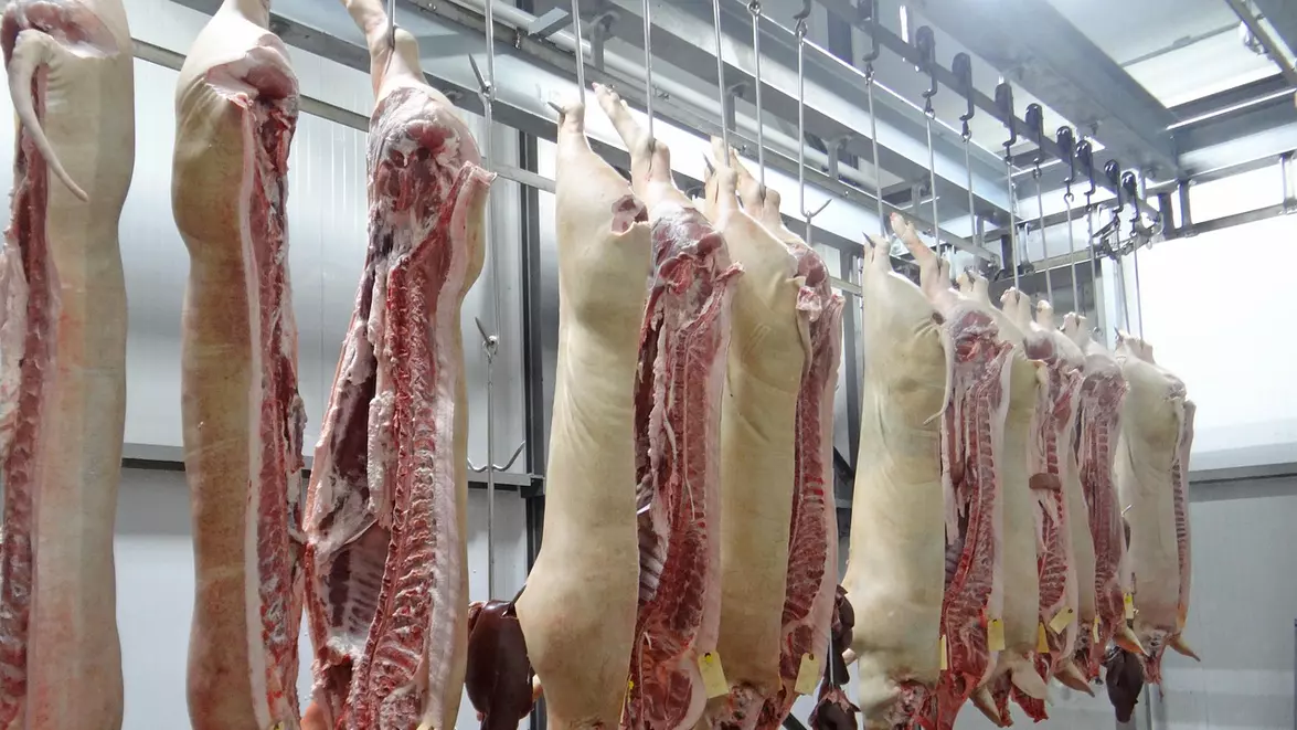 Carnea de porc românească s-a ieftinit cu 7% într-o săptămână. Fermierii spun că vând sub cost