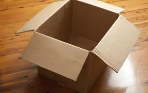 Cardboard Box Index, indicatorul nevăzut. De ce este cererea de cutii de carton un reper pentru investitorii americani