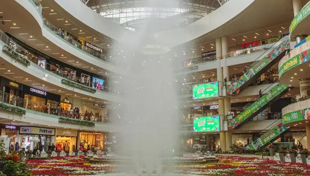 Retailul din România scade cu 6,8%. Bulgaria înregistrează o creștere semnificativă