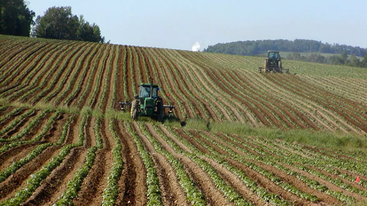 Agricultura românească a pierdut 70% din profit. Fermierii au fost afectați de secetă, cereale ieftine și costuri mari 