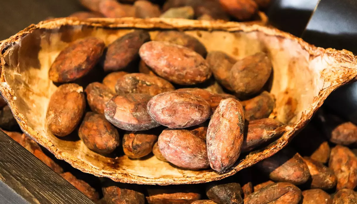 Prețul boabelor de cacao a scăzut cu aproape 70%, dar ciocolata rămâne scumpă. Producătorii pregătesc reduceri, dar numai la anumite produse