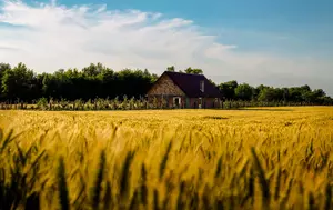 Guvernul reduce bugetul crescătorilor de animale cu 20%. Ce specii de animale sunt favorizate