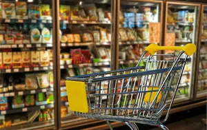 Noul val de discounteri străini schimbă retailul din România. Cum pun presiune lanțurile cu prețuri mici pe rețelele locale