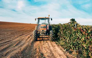 Vești bune pentru fermieri. Guvernul suplimentează cu 94,3 milioane de lei bugetul schemei de sprijin pentru motorina utilizată în agricultură