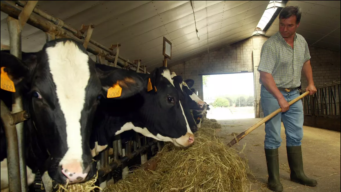 Aproape 27% dintre fermierii români au peste 70 de ani. Cât de fezabilă este reînnoirea generațiilor în agricultura locală