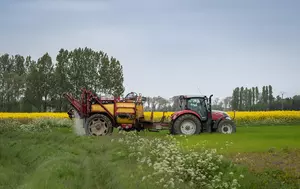 Peste 98% dintre fermieri au primit subvențiile APIA pentru 2025. Plățile au depășit 2,6 miliarde de euro