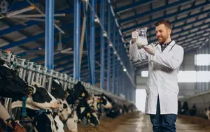 Fabrica DN AGRAR în valoare de 3,5 milioane de euro începe producția în septembrie anul acesta. Unitatea va procesa zilnic 150.000 de litri de lapte