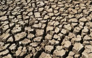 Guvernul pune 304,7 milioane de lei în două plăți pentru agricultură. Seceta și motorina împing factura în sus