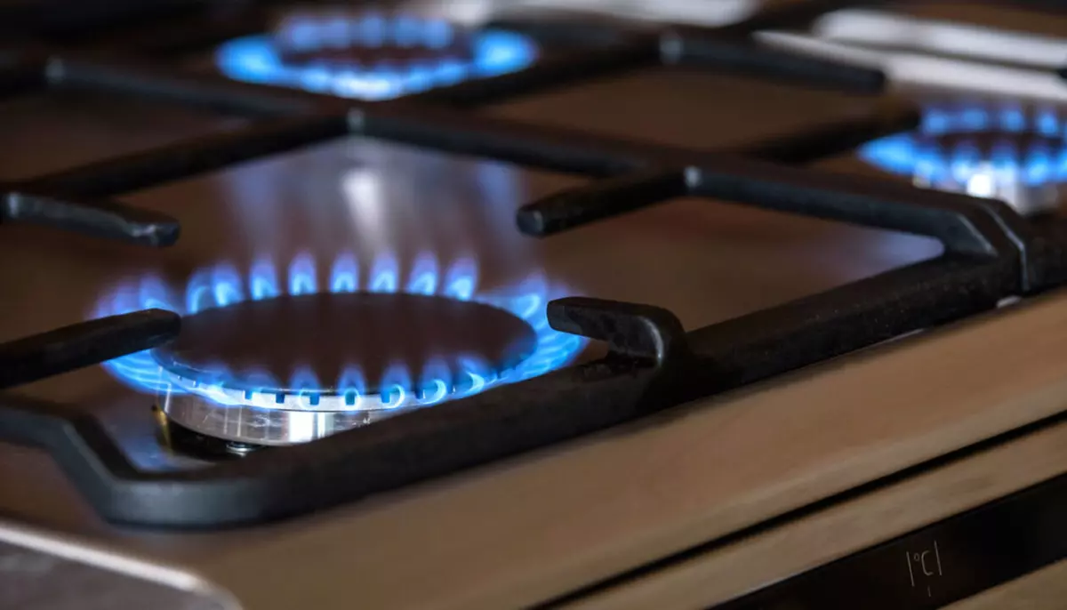 Europa se poate confrunta cu o criză a gazelor fără o penurie fizică. Independența energetică a Uniunii este greu de atins