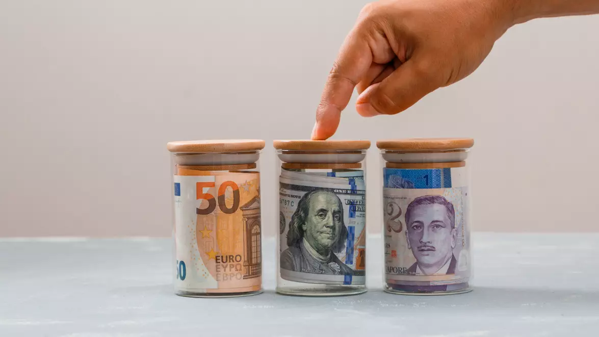 Românii își păstrează tot mai mult economiile în valută. Economiile în lei au stagnat aproape complet
