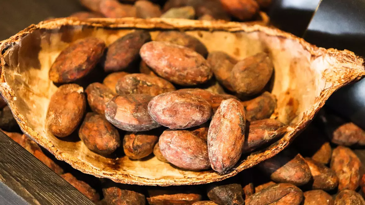 Prețul boabelor de cacao a scăzut cu aproape 70%, dar ciocolata rămâne scumpă. Producătorii pregătesc reduceri, dar numai la anumite produse