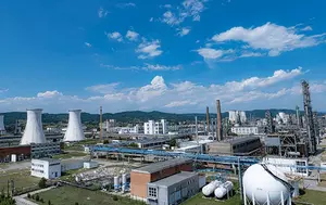 Chimcomplex a încheiat primul semestru cu o pierdere de 56,1 milioane de lei. Vânzările din România au scăzut cu 21%