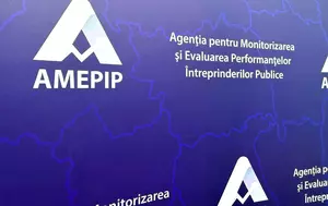 AMEPIP: 33 de companii publice au risc ridicat de guvernanță. Guvernul găsește 50 de directori cu mandate expirate