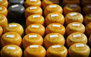 Cum a reușit Elveția să rămână o forță în producția mondială de brânzeturi? Exporturile au ajuns la 760 de milioane de euro