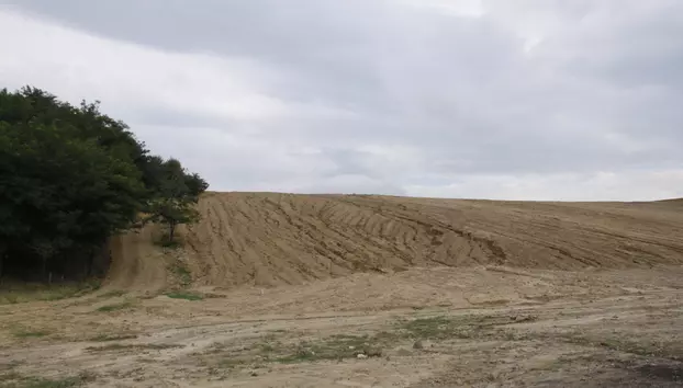 Statul pune 32.000 de hectare la dispoziția regenerabilelor. România rezolvă problema terenului, dar nu și pe cea a rețelei