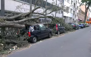 Peste 200 de dosare de daună la nivel național în urma furtunilor. Unde au fost înregistrate cele mai multe