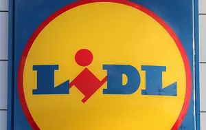 Lidl rămâne liderul retailului alimentar din România. Mega Image și Profi vin puternic din urmă
