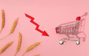 Puterea de cumpărare a populației s-a deteriorat semnificativ pe parcursul anului trecut. Consumul intern a intrat în contracție începând cu luna august 2025