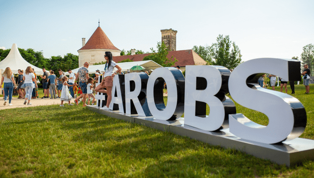 AROBS vinde compania poloneză de soluții pentru aplicații satelitare. WB Electronics preia 100% din capital