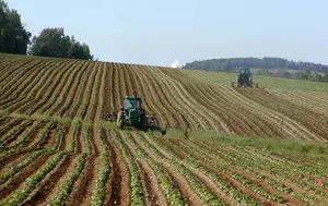 Agricultura românească a pierdut 70% din profit. Fermierii au fost afectați de secetă, cereale ieftine și costuri mari 